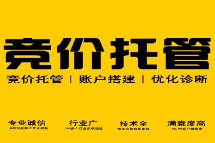 某某sem推广公司在某行业的应用与效果分析